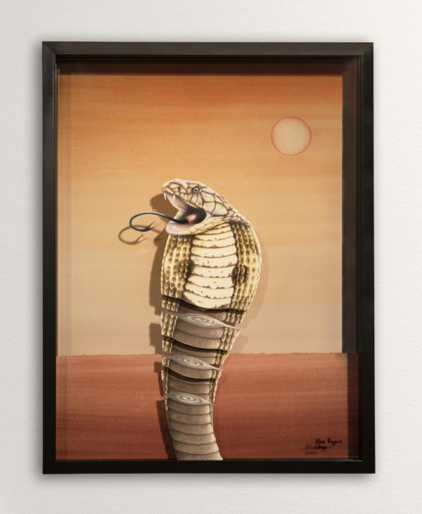 king cobra
